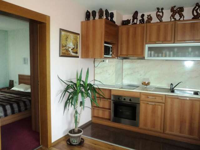 Отель Hotel 007 София-26